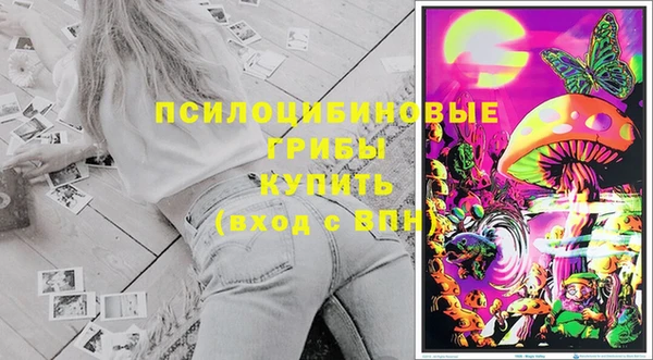 СК Абдулино