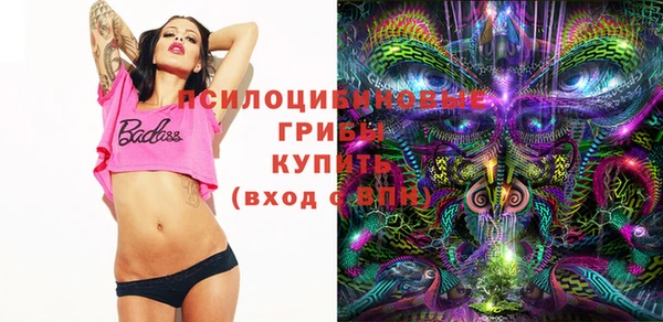СК Абдулино