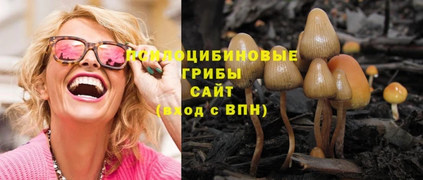 ALPHA PVP Алексин