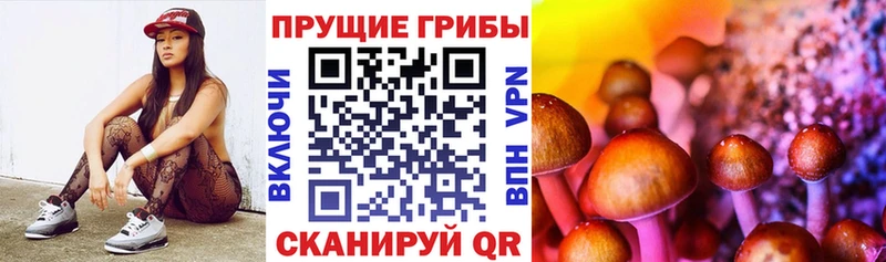 Псилоцибиновые грибы прущие грибы Тверь