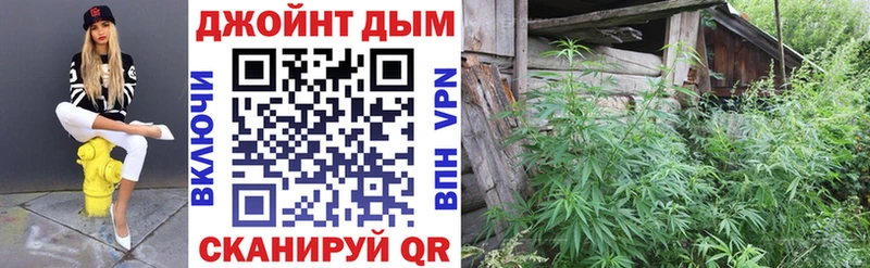 Канабис сатива  продажа наркотиков  Тверь 
